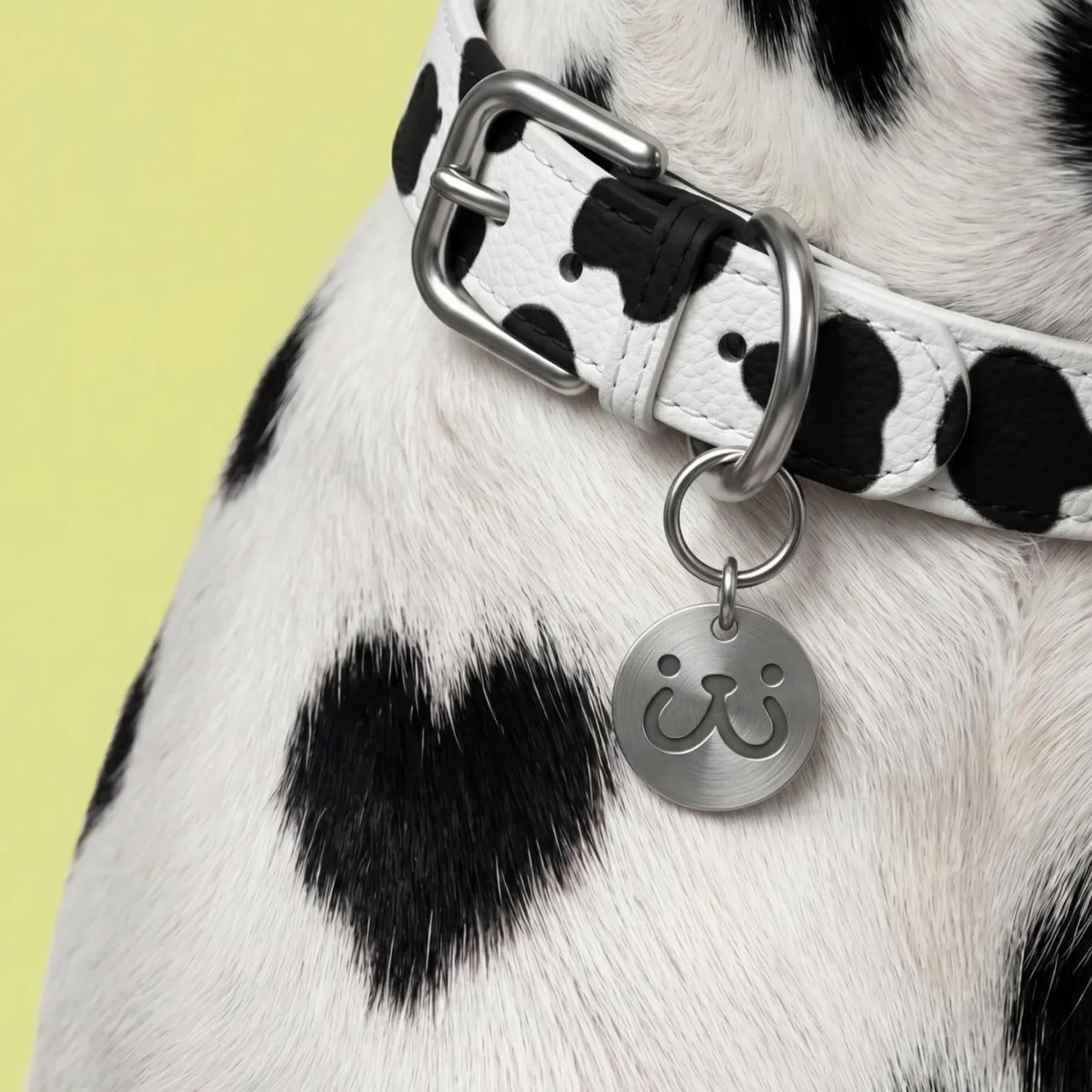 Gentle breathing motion of the dog's fur and collar, with a soft shimmer passing over the metal tag. Subtle background gradient shift for a calm, fresh atmosphere.